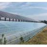 Buy cheap PE/Po Plastic Film Photovoltaic Greenhouse Innovation 1209.00cm * 235.00cm * 239.00cm from wholesalers