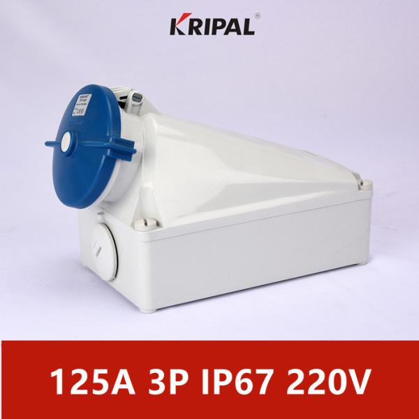 Buy cheap 125A IP67 220V 3P IEC Standard Industrial Wall Mounted Socket Waterproof from wholesalers