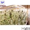 Buy cheap IP65 LED Grow Light Bar Lamp Full Spectrum Samsung LED Chip 250W-1000W from wholesalers