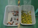 Grain Rice Seeds Tea Plastic Glass Color Sorter Machine
