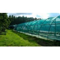 Buy cheap Customizable Weather Resistant HDPE Shade Cloth Net For Agricultural Sun product