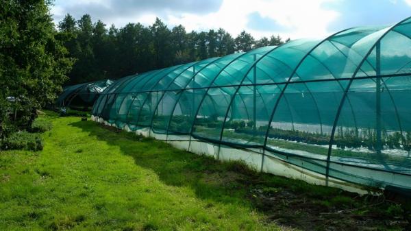 Buy cheap Customizable Weather Resistant HDPE Shade Cloth Net For Agricultural Sun Protection from wholesalers