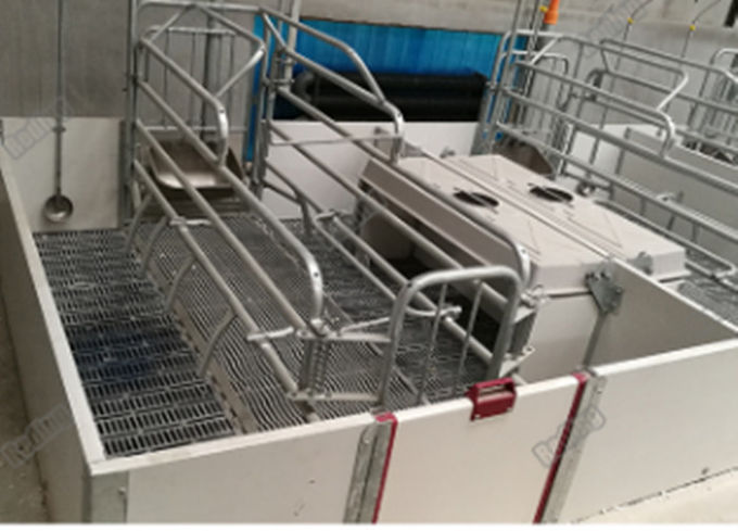 Fast delivery baby pig used nursery weaning crate weaning fence for piglets PE plate