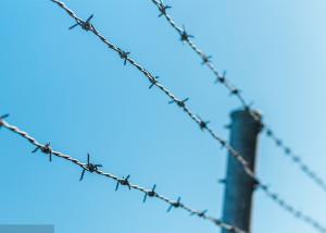 Wholesale Use Of Prison Walls Anti Climb Single Strand PVC Coated Iron Barbed Wire from china suppliers