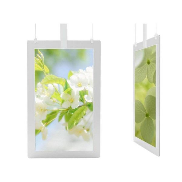 55 Inch 1080p Android Transparent LCD Display Transparent Digital Signage OLED