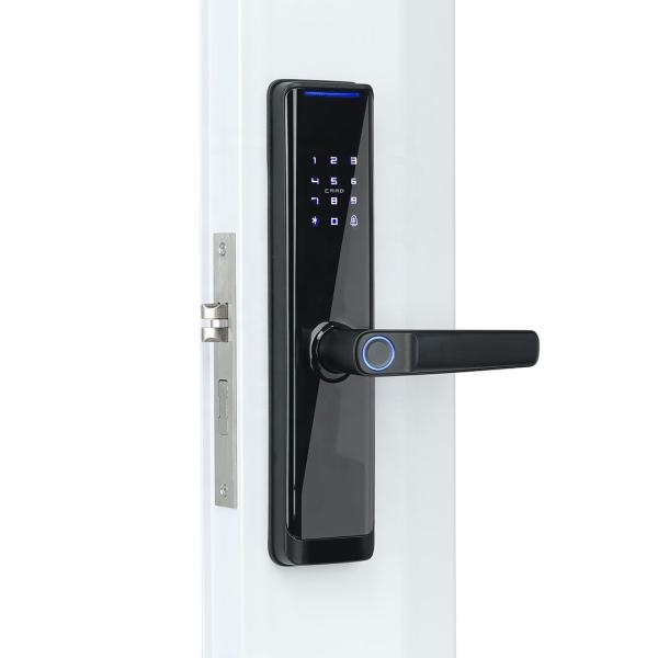 Buy cheap Tuya WiFi Smart Biometric Fingerprint Door Lock For Home 2 Years Warranty from wholesalers