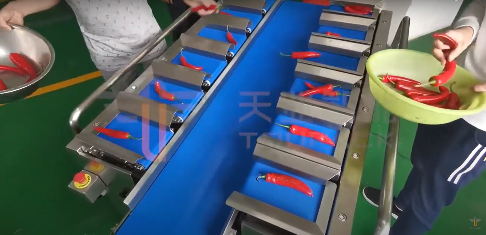 Chili Carrot Food Grade Siemens Belt Weigher For Irregular Product