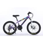20*2.125 WANDA Tyre Steel Frame 21speed Children's Bike With Mechanical Disc