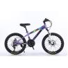 Buy cheap 20*2.125 WANDA Tyre Steel Frame 21speed Children's Bike With Mechanical Disc Brake from wholesalers