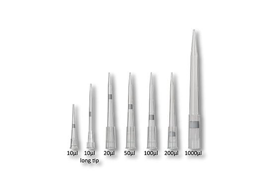 Medical Device Molding Ultra Precise Multi Cavity Micropipette Molds plastic