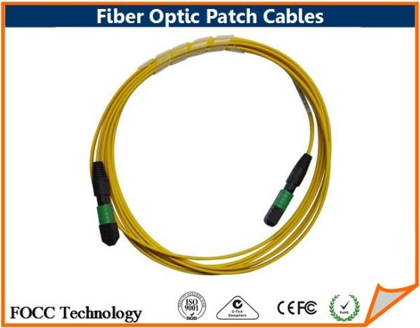 Buy cheap Singlemode Return Loss 12 Core MTP Fiber Optic Patch Cables Two Ends Connectors from wholesalers