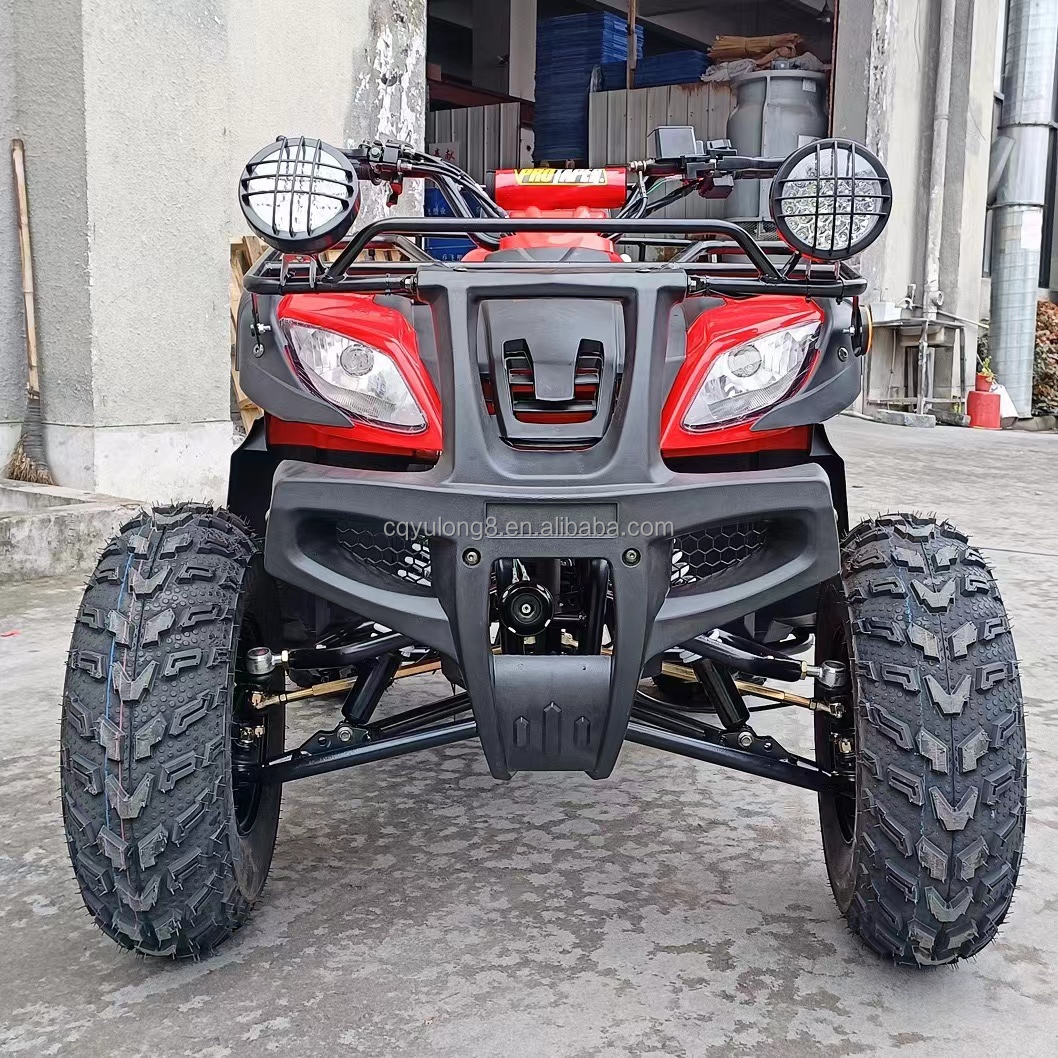 150-200mm Ground Clearance 200cc 250cc Quad Bike Buggy UTV for All Terrain Adventures