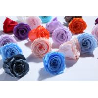 Buy cheap Factory wholesale real touch high quality multi color natural preserved roses at product