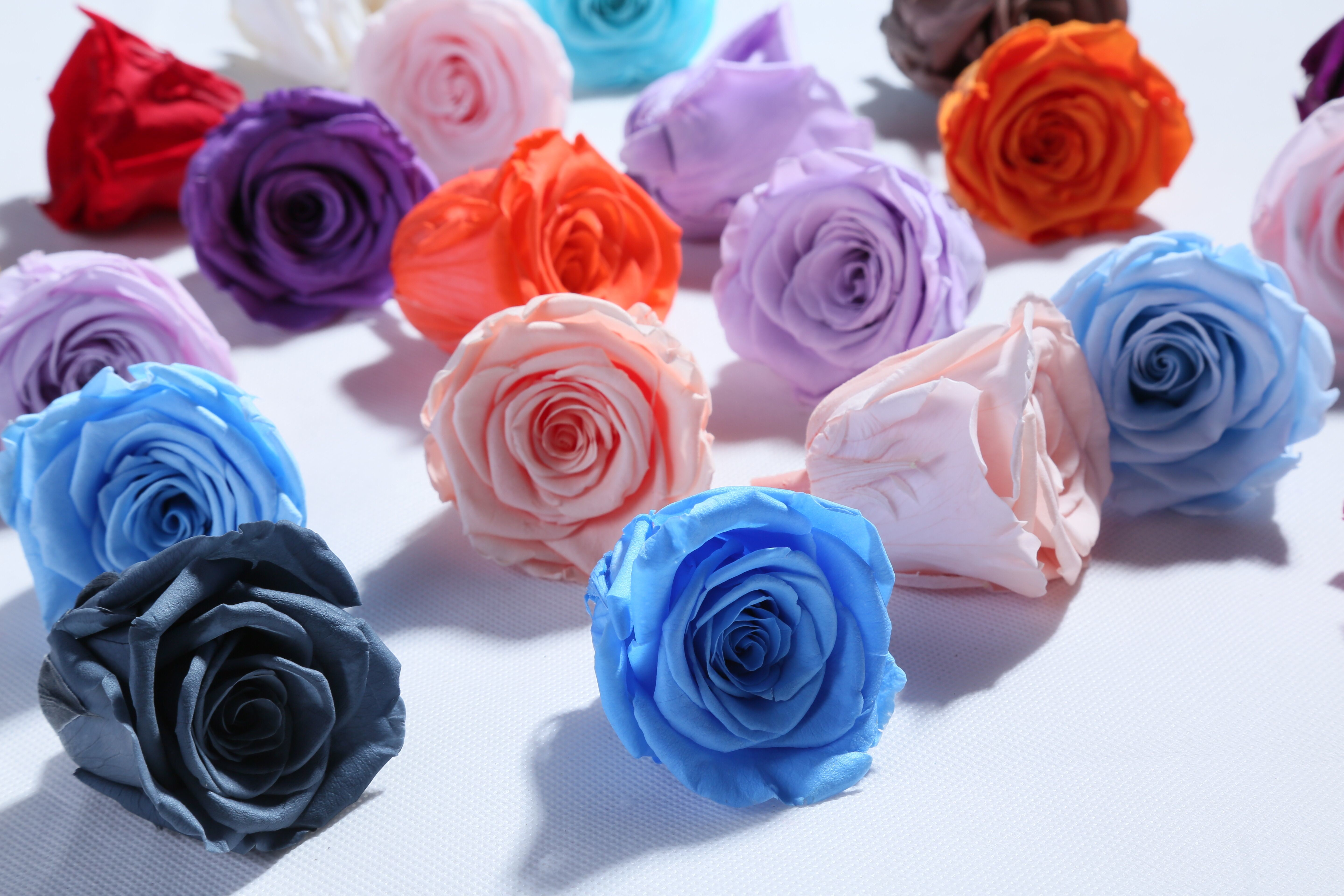 natural preserved roses at cheap price Everlasting Flowers Home Decoration Christmas gift