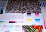 4 Color Corrugated Cardboard Flexo Printing Machine For Carton Box