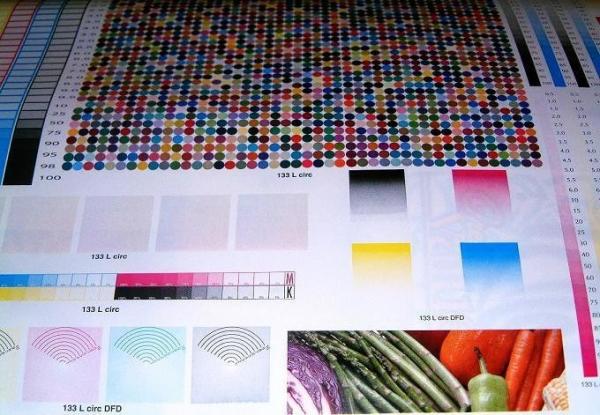 Buy cheap 4 Color Corrugated Cardboard Flexo Printing Machine For Carton Box from wholesalers
