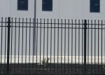 Black Decorative Home Garden Ornamental Wrought Iron Metal Fence 2.4m Height