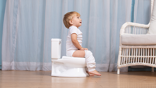 PP Baby Potty Toilet Seat with Custom Logo Design EN-71 Certified Lightweight for Kids