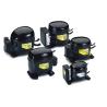 Buy cheap R404A R134A R22 CE Small and black Secop hermetic Freezer Refrigeration Compressor from wholesalers
