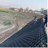 Buy cheap Geocell Ground Grid Paver 50mm Height for Gravel Driveway and Road Stabilization from wholesalers
