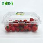 Disposable Clear PET Clamshell Hinged Lid Container Packing Supermarket Plastic