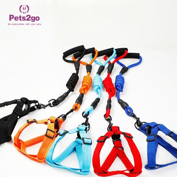 Buy cheap S Size Nylon Stocked 500cm*1cm Dog Leash Rope from wholesalers