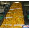 Buy cheap Automation Furniture Production Line of Belt Conveyer Roller Table and Belt Conveyor from wholesalers