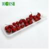 Buy cheap PP Corn Starch Disposable Fresh Meat Chicken Fruit Vegetable Container Plastic Frozen Food Packing Tray from wholesalers