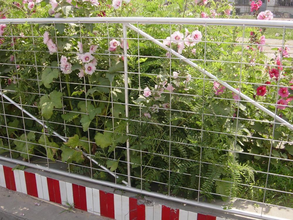 High Quality Farm Iron stay gate