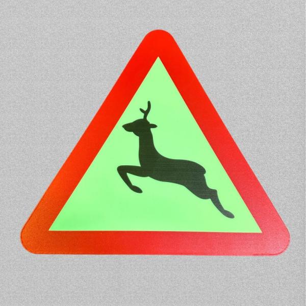 Plastic Photoluminescent Signage For Wall Mounted And Ceiling Mounted Installati