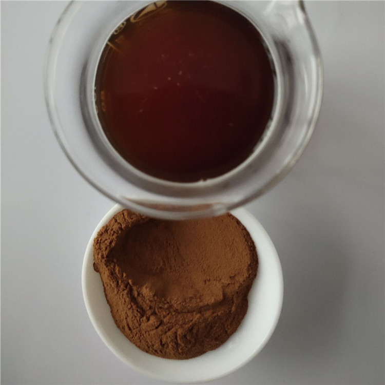 Medicine Grade Great Burdock Fruit Extract For Sale