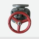DIN3356 Cast Iron Globe Valve Manual Flanged MSS SP-85 Modle Number