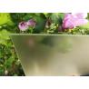 Buy cheap Solar Tempered Low Iron Solar Glass Flat Shape Customized Size Energy Saving from wholesalers