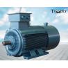 Buy cheap YSP Mining VFD Three Phase Asynchronous Motor 1000kw from wholesalers