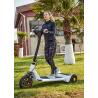 Buy cheap Foldable 250W 30km Waterproof Electric Scooter from wholesalers