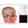 Buy cheap Bio-resonance Diagnostics 8d NLS / 9D NLS Body Health Analysis System Machine from wholesalers