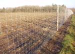 High Tensile Galvanized iron Wire Cattle Fencing 1.1m height