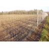 Buy cheap High Tensile Galvanized iron Wire Cattle Fencing 1.1m height from wholesalers