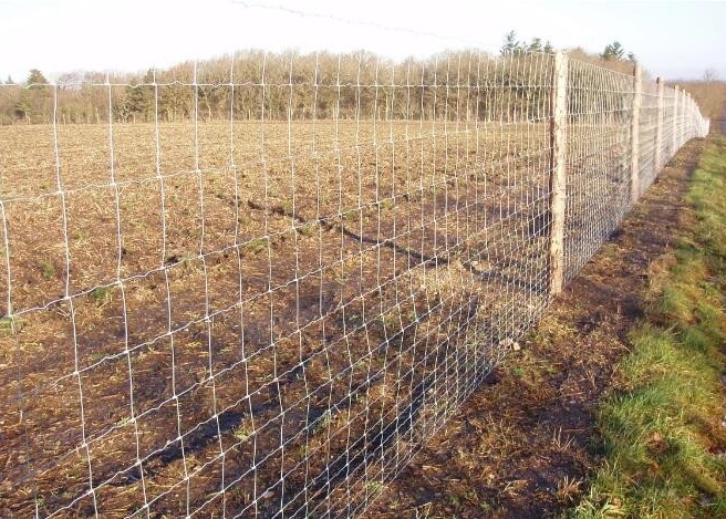 Corrosion Resistant 3ft Tall Wire Cattle Fencing For Farm