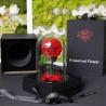 Buy cheap 2021 popular Preserved Roses Long lasting Roses in Dome Valentines Day Gift from wholesalers
