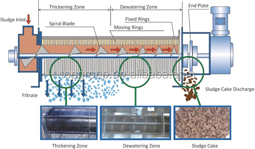 100L/Hour TPDL Volute Screw Sludge Dewatering System for Biological Sludge Treatment