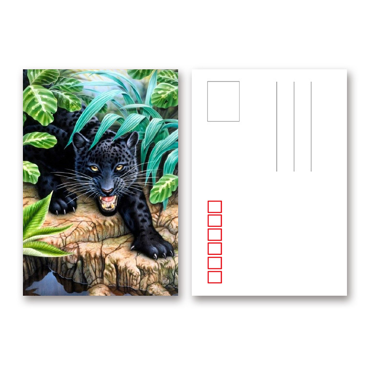 2.5*3.5 Inch Animal Theme Lenticular 3D Poker Cards For Gifts Or Promotion