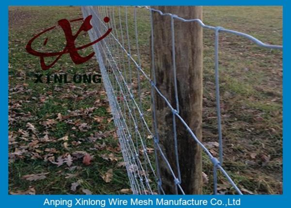 Buy cheap Commercial Galvanized Field Fence For Live Stock Easy Maintenance from wholesalers