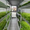 Buy cheap Hydroponic System Container Farm Suitable for Growing Vegetables Fruits and Flowers from wholesalers