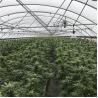 Buy cheap Length 105ft 120ft 131ft Blackout Tarp Light Deprivation Greenhouse Top Ventilation from wholesalers