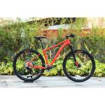 Durable 11speed Oil Brake Mountain Bike with High Cost Performance and Ordinary