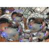 Buy cheap Decorative Inflatable Mirror Ball Silver Event Decoration 5m For Outdoor Use from wholesalers