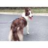 Buy cheap Heavy Duty Long Retractable Dog Leash Collar 26ft For Large Dogs from wholesalers
