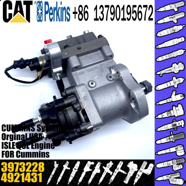 Buy cheap Best quality High Level Supply Fuel Injection Pump 3973228 4921431 5594766 For ISL8.9 ISC8.3 from wholesalers