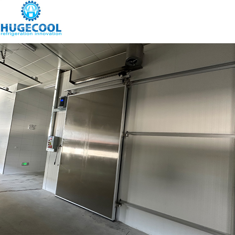 Frozen/Fresh Cold Room Unit Blast Freezer Container Cold Room Storag